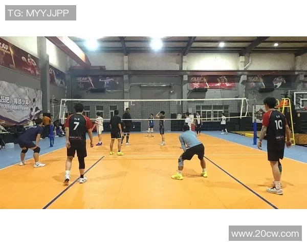 排球深度：解密杭州排球队的快攻